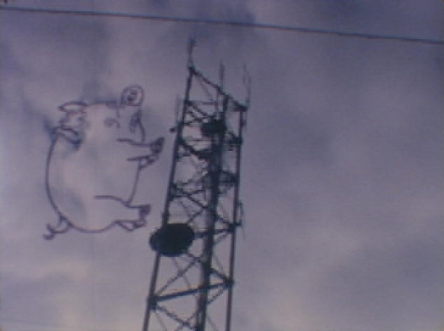 Image de Cochon-araigne qui monte le pylne radio